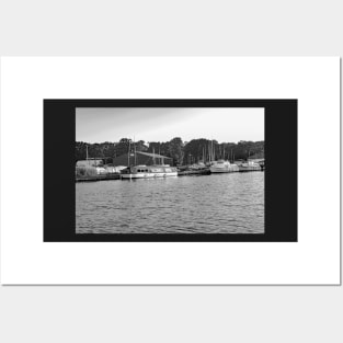 A view across the River Ant from Barton Turf staithe Posters and Art